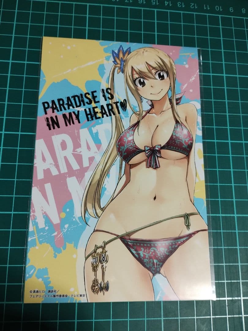 【非売品】FAIRY TAIL ルーシィ　ミニポスター — image 1