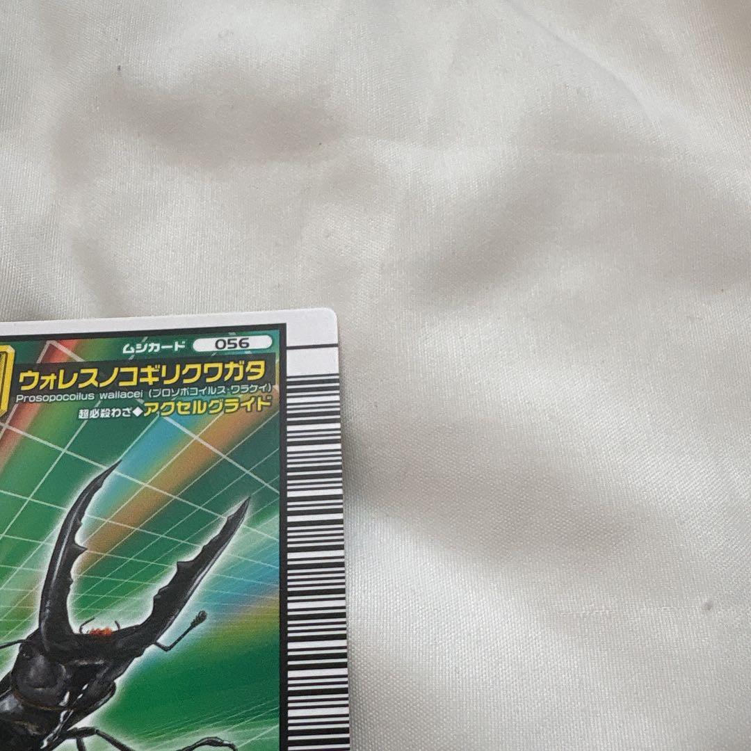 ウォレスノコギリクワガタ ムシキング — image 4