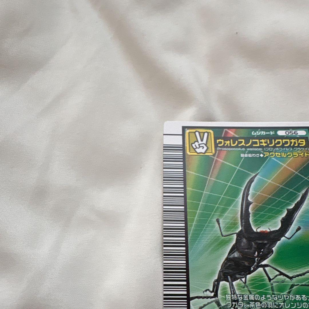ウォレスノコギリクワガタ ムシキング — image 5