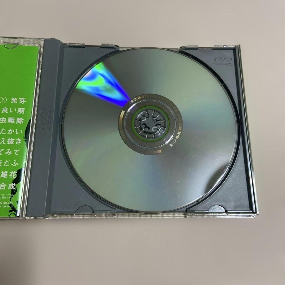 椎名林檎 / 発育ステータス“御起立ジャポン”【DVD】 — image 5