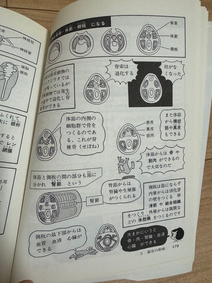 ピー子とキュー太のまんが講座 生物 上下巻セット — image 3