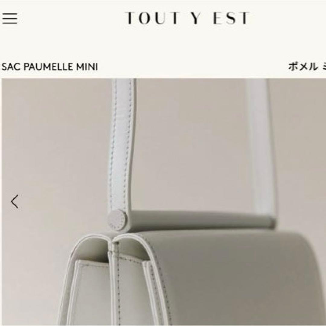 TOUT Y EST トゥティエSAC PAUMELLE MINI ミニバッグ — image 5