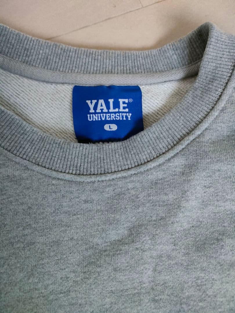 イェール大学 スウェット L 大きめサイズ カレッジロゴ 二色切り替え — image 2