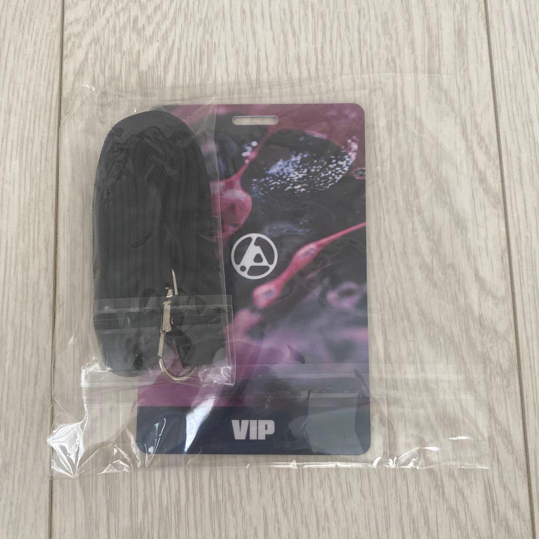 LINKIN PARK VIP特典グッズ — image 4