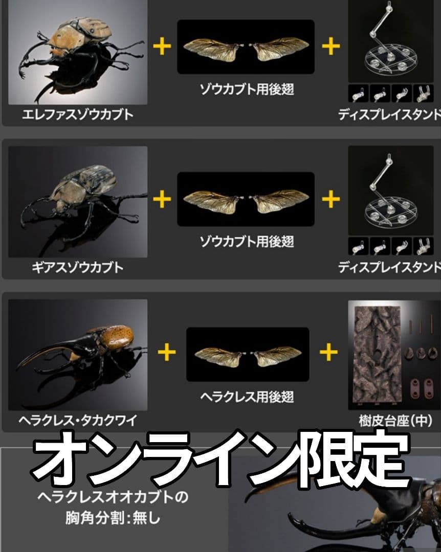 カブトムシ０４ ディスプレイスタンド＆樹皮台座（中）付き コンプセット — image 2