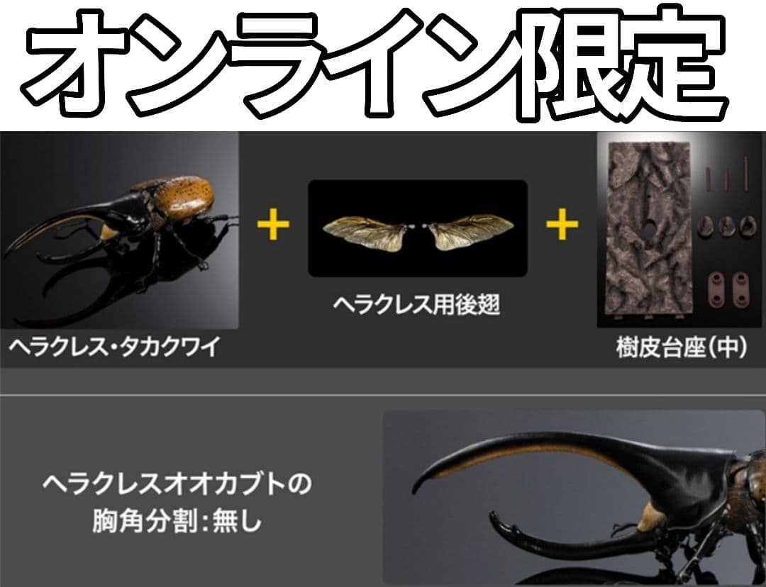 カブトムシ０４ ディスプレイスタンド＆樹皮台座（中）付き コンプセット — image 5
