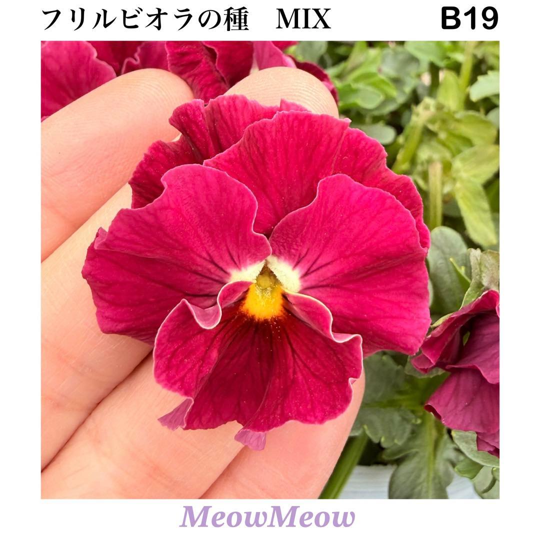 k o様 リクエスト 2点 まとめ商品 — image 2