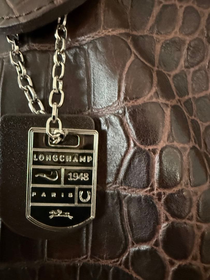 LONGCHAMP クロコ型押し ハンドバッグ ダークブラウン — image 5
