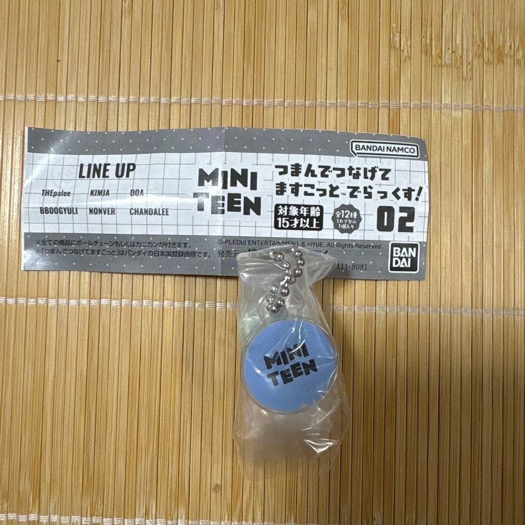 MINI TEEN つまんでつなげてますこっと・でらっくす！ 02 — image 2