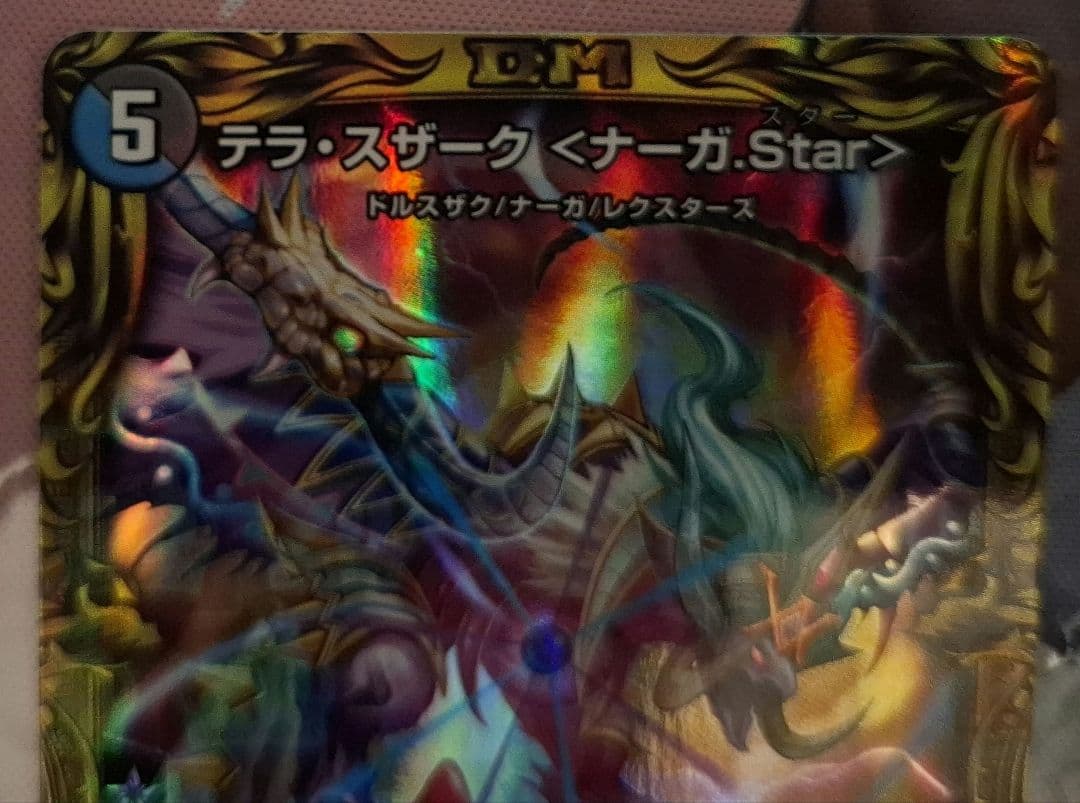 「24時間以内発送」テラスザークナーガstar 　シクa — image 3