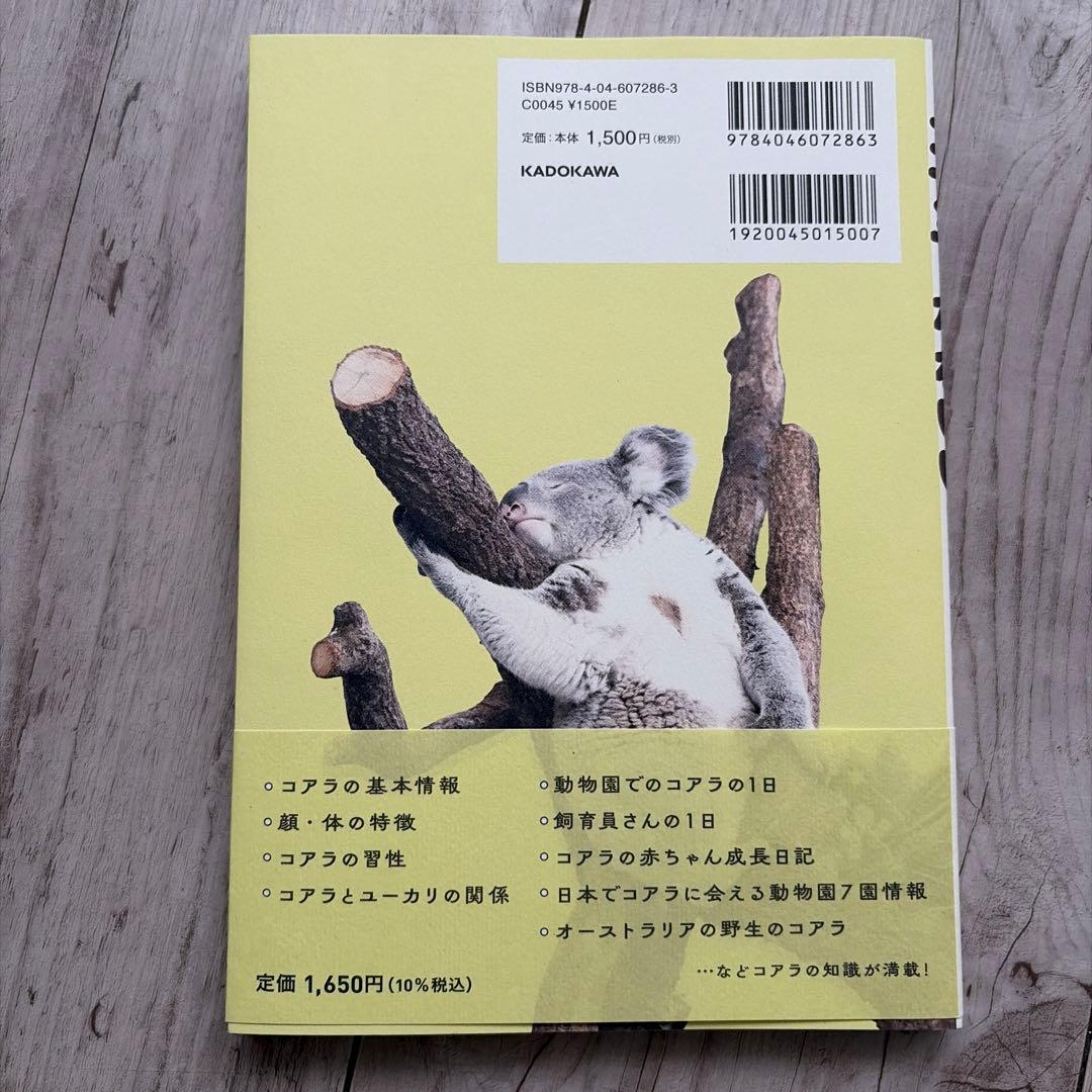 コアラがかわいい 生態から癒やされる写真まで魅力のすべて — image 2
