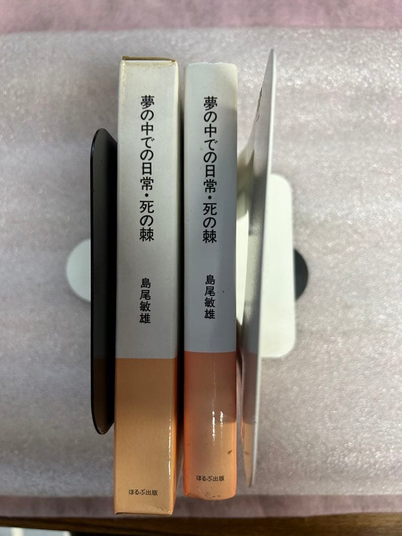 島尾敏雄の傑作「夢の中での日常・死の棘〜 現実と非現実、日常とは何かを問う文学」 — image 4