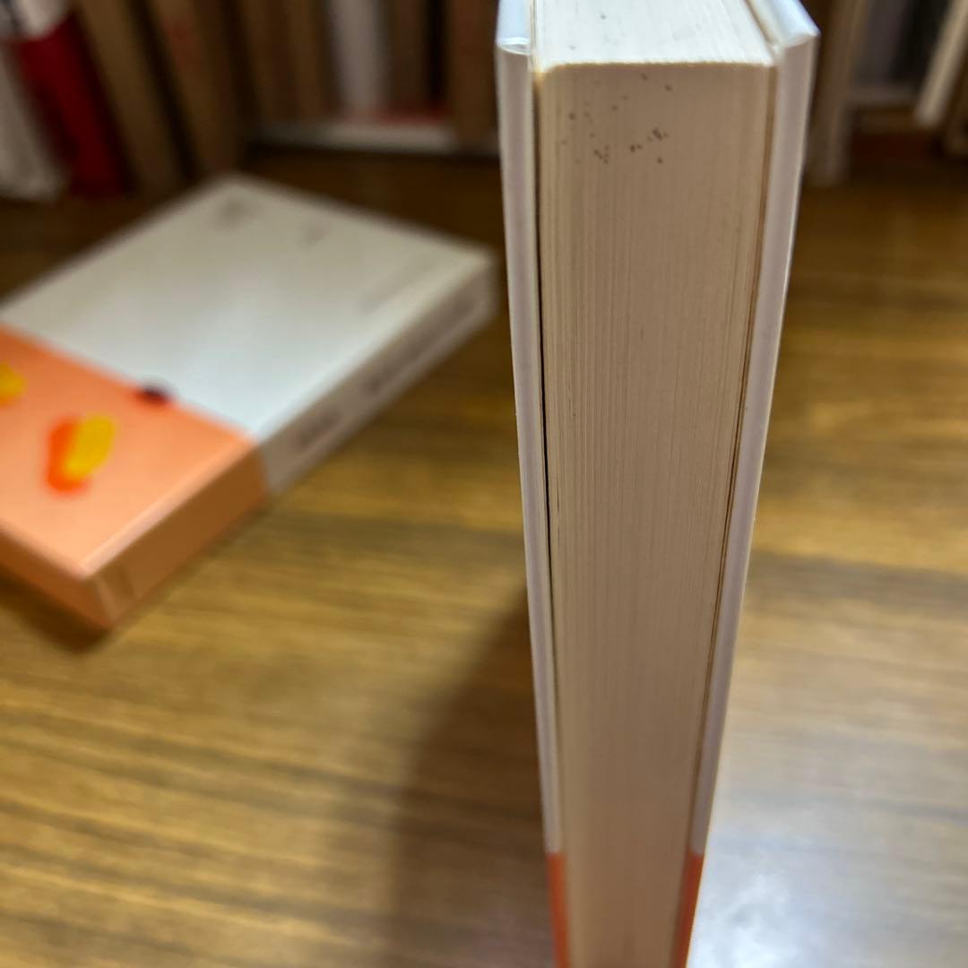 島尾敏雄の傑作「夢の中での日常・死の棘〜 現実と非現実、日常とは何かを問う文学」 — image 5