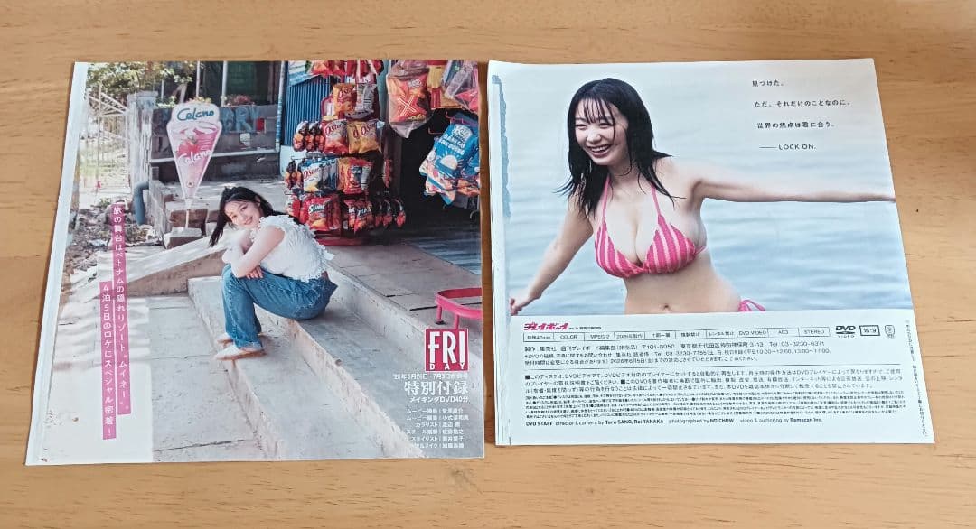 [匿名配送]2枚セット！髙野真央DVD　週刊プレイボーイ付録 — image 2