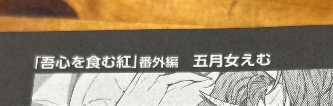 麗人2025年9月号 特別付録冊子 五月女えむ 切り抜き — image 2