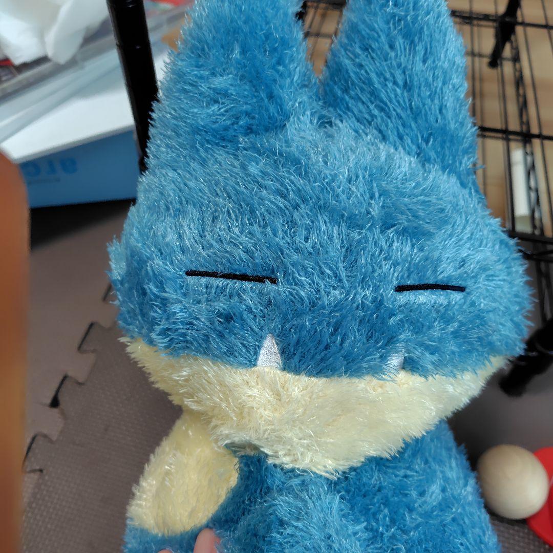 ポケモン ゴンベ ぬいぐるみ — image 5