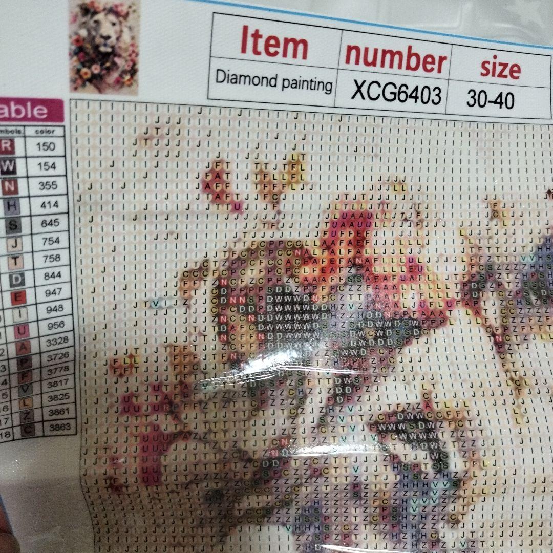 ダイヤモンドアート ライオン 30×40cm — image 5