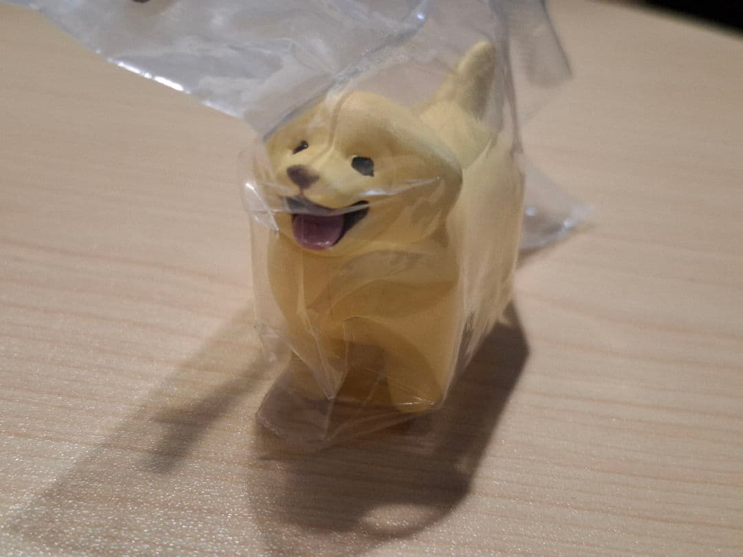 いい感じの棒をゲットした犬 ゴールデンレトリバー — image 2