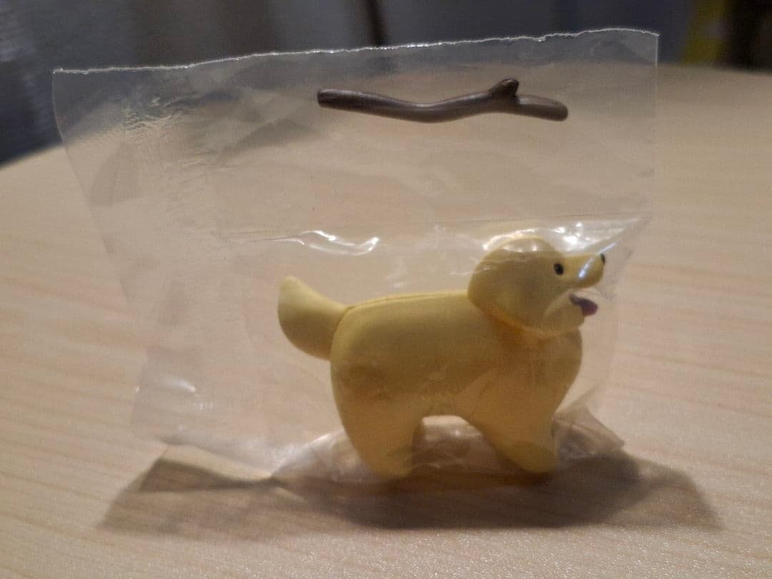 いい感じの棒をゲットした犬 ゴールデンレトリバー — image 3