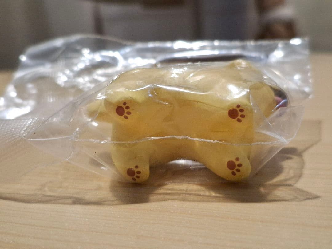 いい感じの棒をゲットした犬 ゴールデンレトリバー — image 4