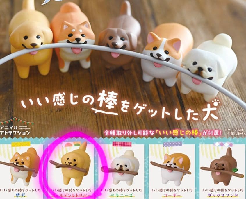 いい感じの棒をゲットした犬 ゴールデンレトリバー — image 5