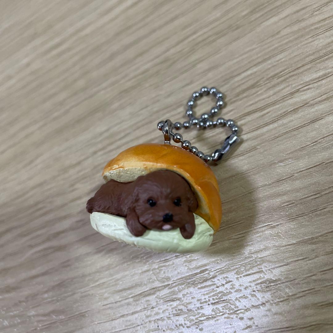 いぬぱん　リターンズ　トイプードル — image 5