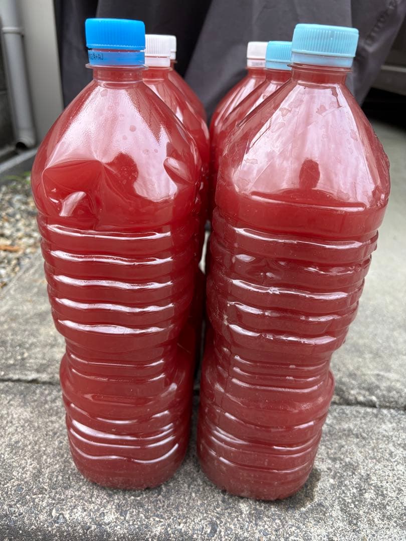 PSB 濃縮　光合成細菌 2L×6本セット 水質浄化　メダカ　ミジンコ　などに — image 2