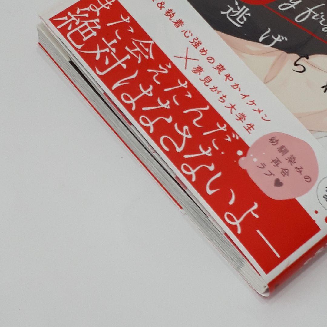 初恋から逃げられない 千葉たゆり — image 4