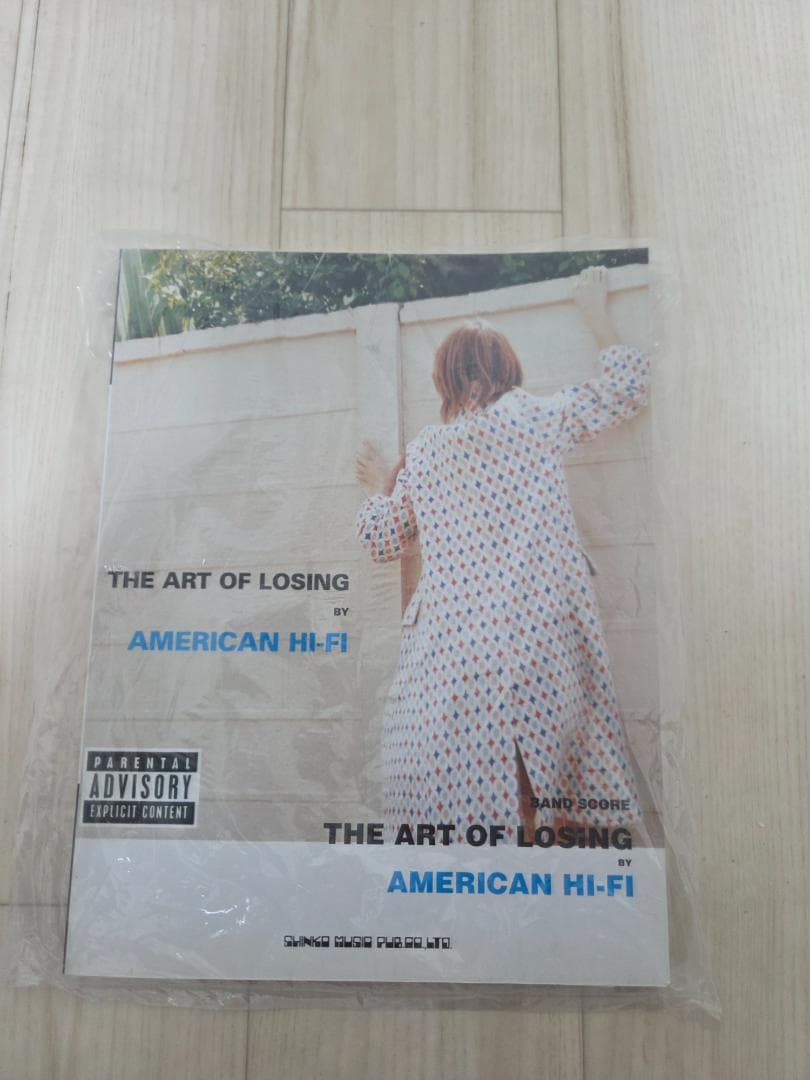 The Art of Losing by American Hi-Fi — image 2