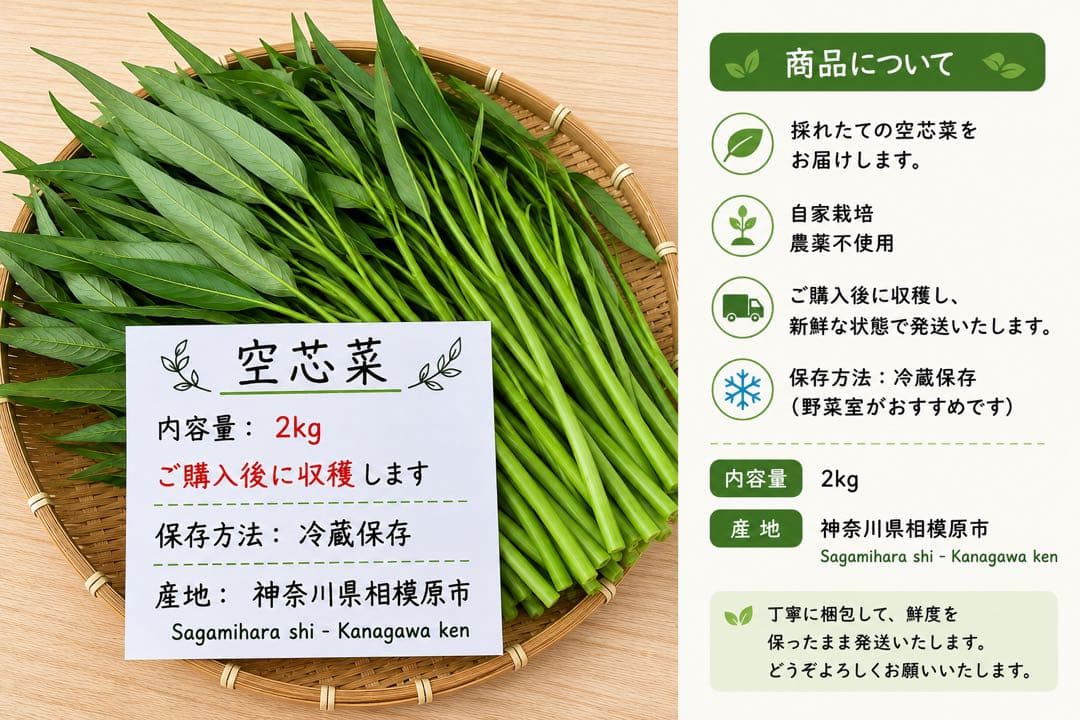 新鮮 空芯菜2キロ — image 2