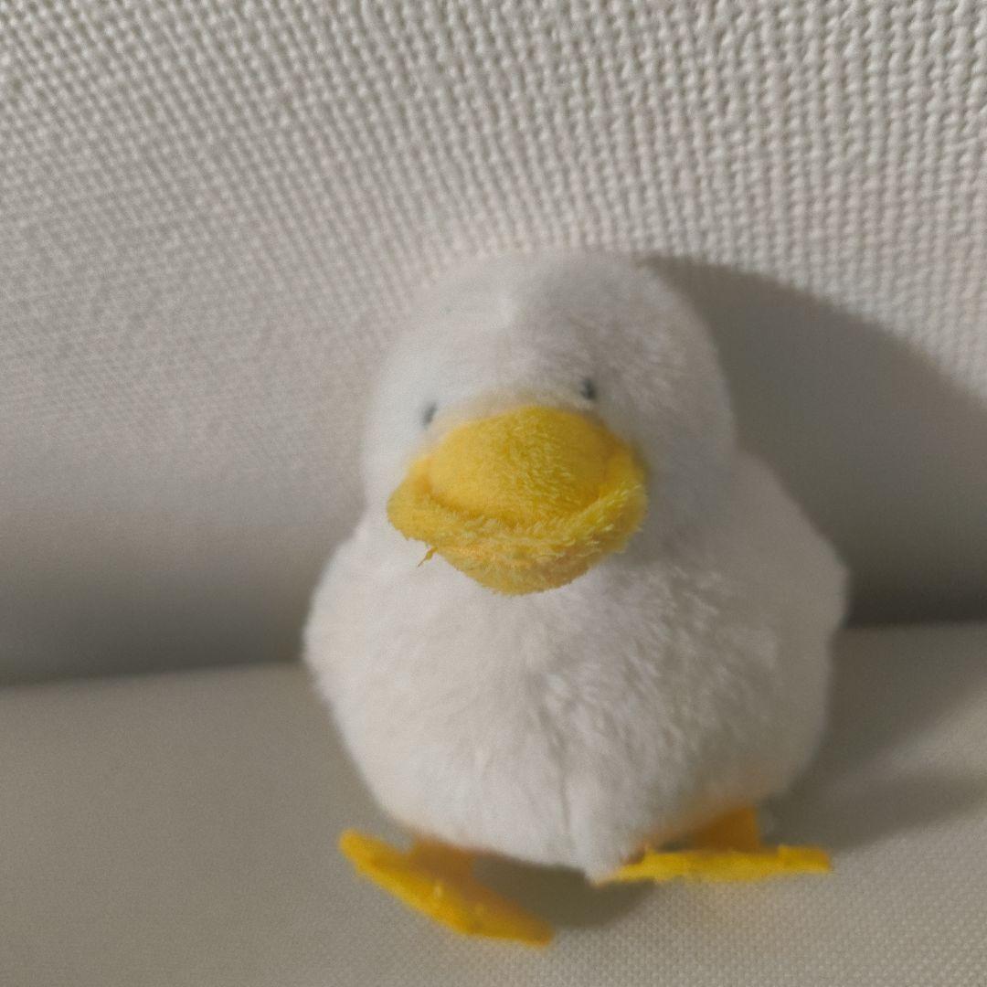アヒル型ぬいぐるみ 白・黄色 もちっとダック チョイぶちゃ — image 3