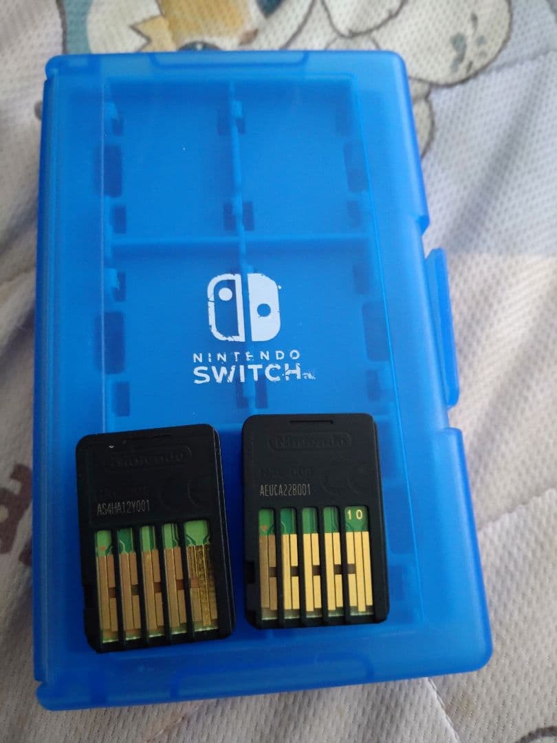 Nintendo Switch ソフト 釣りスピリッツとMinecraft　マイ — image 2