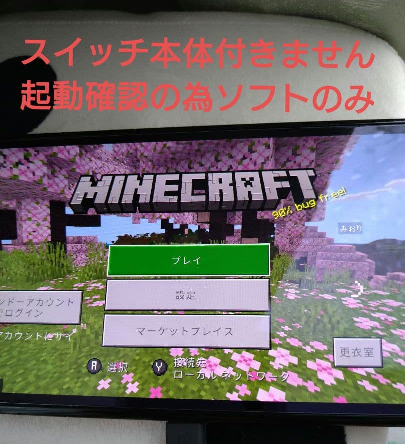 Nintendo Switch ソフト 釣りスピリッツとMinecraft　マイ — image 3
