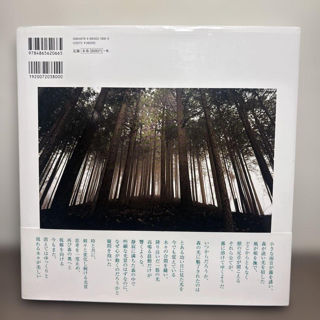 dear silence 静寂の森　瀬尾拓慶 — image 2