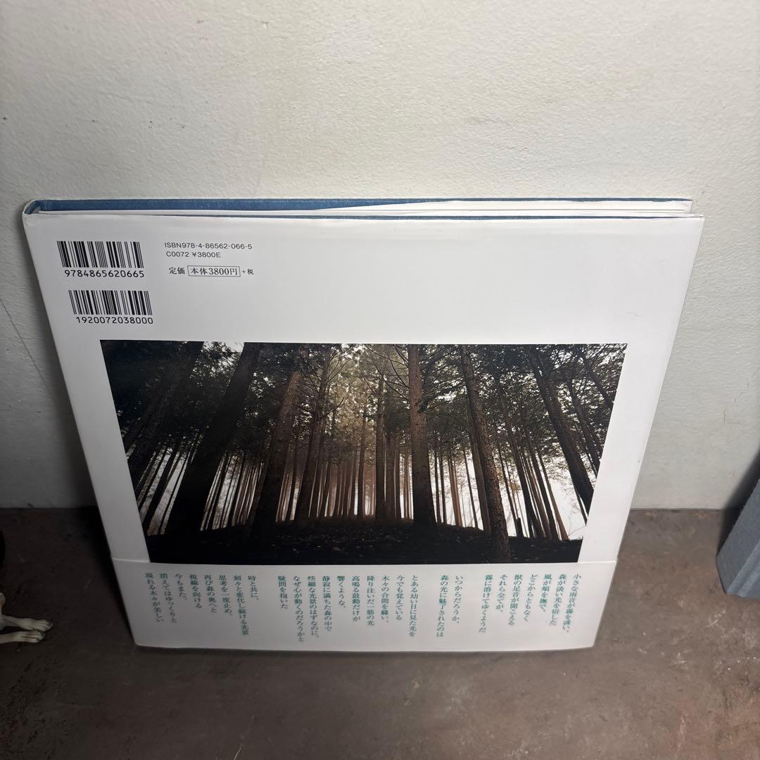 dear silence 静寂の森　瀬尾拓慶 — image 3