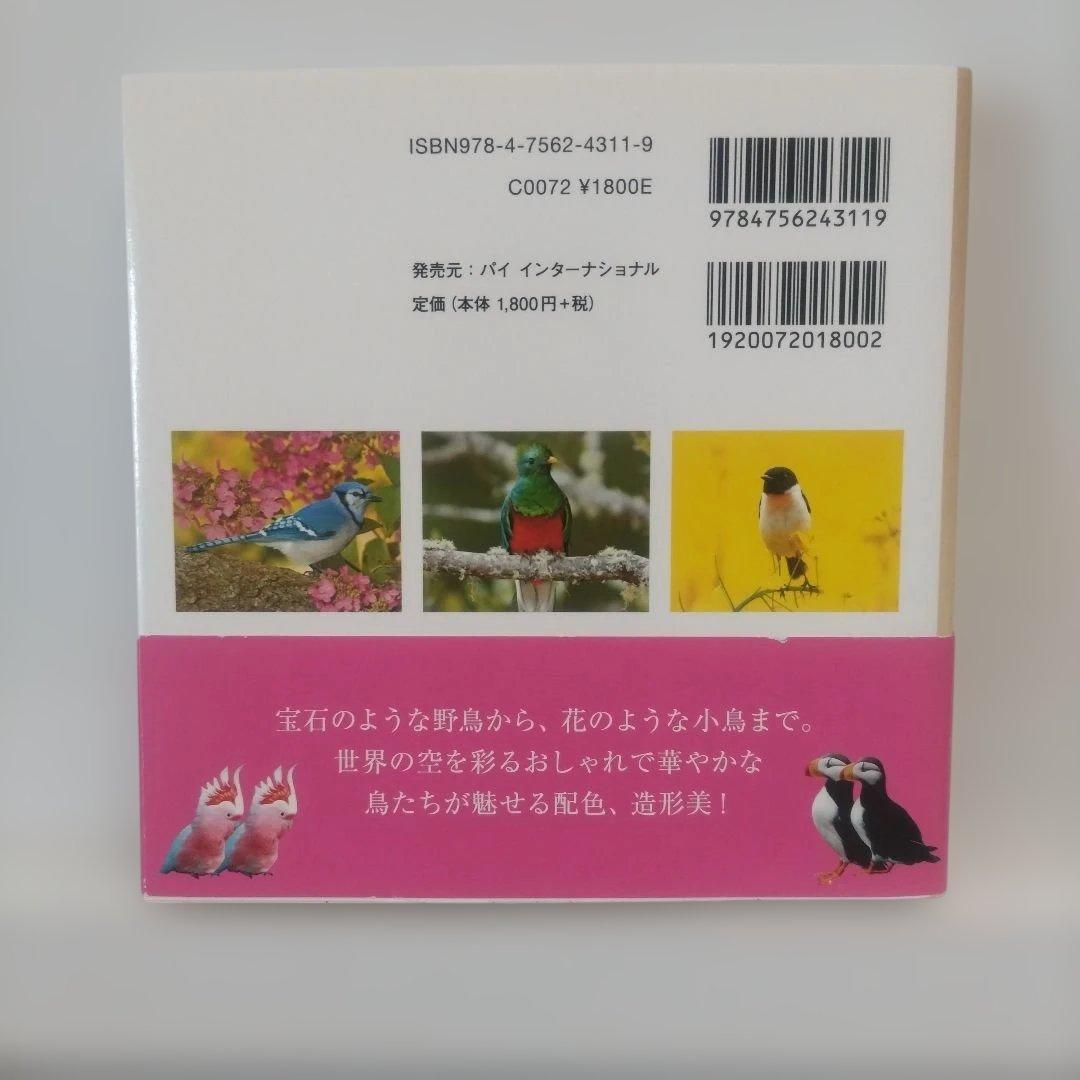 世界の美しい鳥 — image 2
