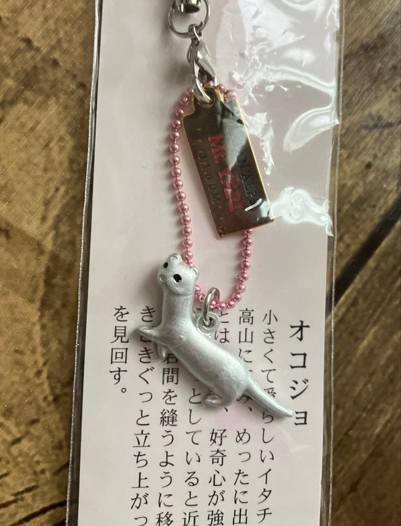 未開封 限定品 槍ヶ岳限定 オコジョ メタルストラップ 根付け ご当地 — image 3