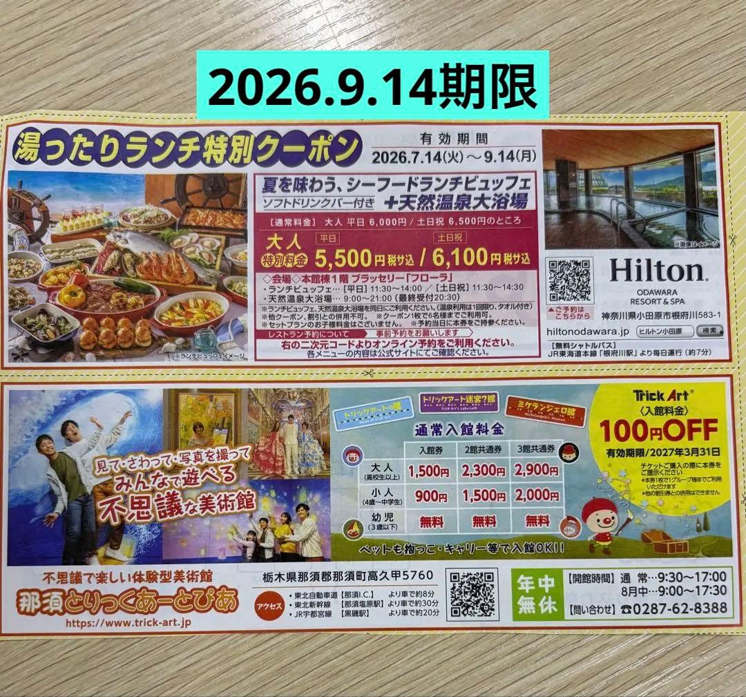 ヒルトン小田原 シーフードランチビュッフェ➕天然温泉　クーポン券 — image 2