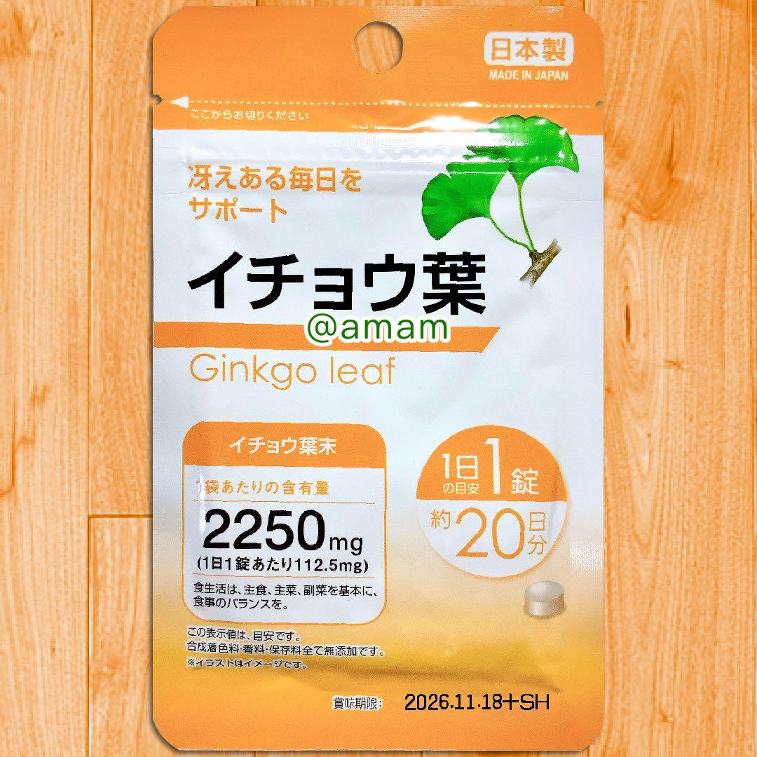 イチョウ葉 サプリメント 10袋 日本製 送料・手数料無料 Rug — image 2