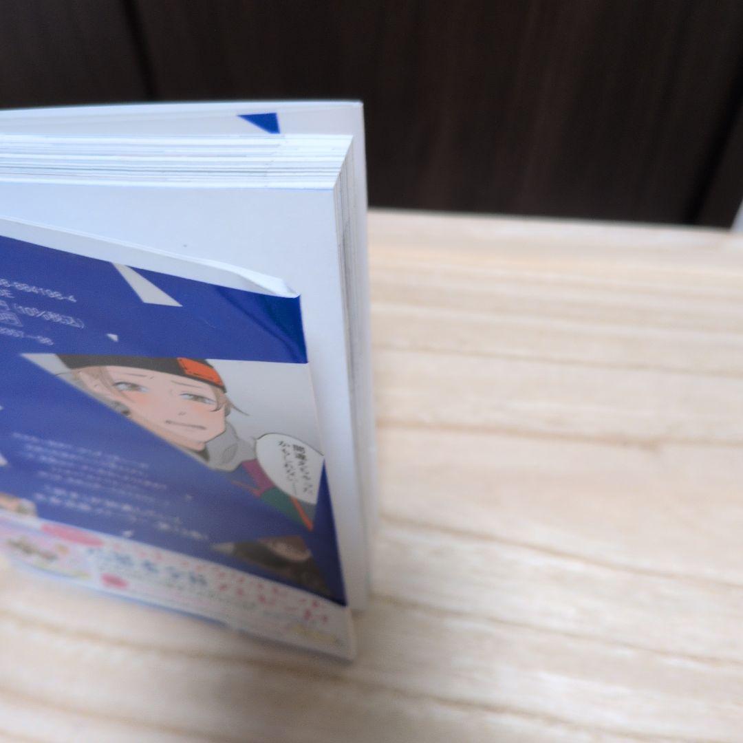 〈アニメ放送中作品〉氷の城壁 13巻 阿賀沢紅茶 — image 3
