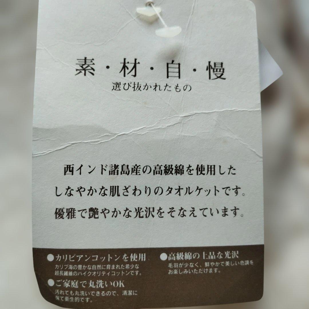 西川 カリビアンコットン タオルケット — image 2