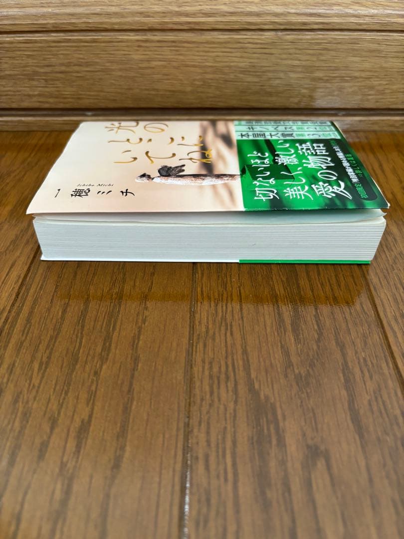 光のところにいてね 一穂ミチ 文春文庫 特製しおり付 — image 3