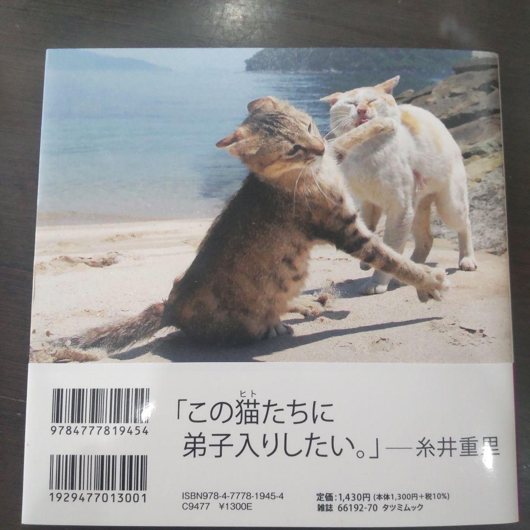 必死すぎるネコ — image 2