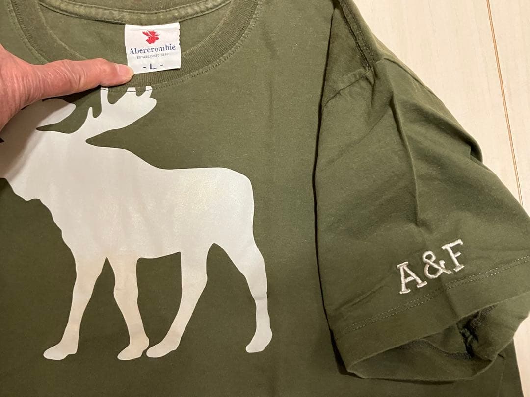 Abercrombie & Fitch シカシルエット Tシャツ Lサイズ — image 2