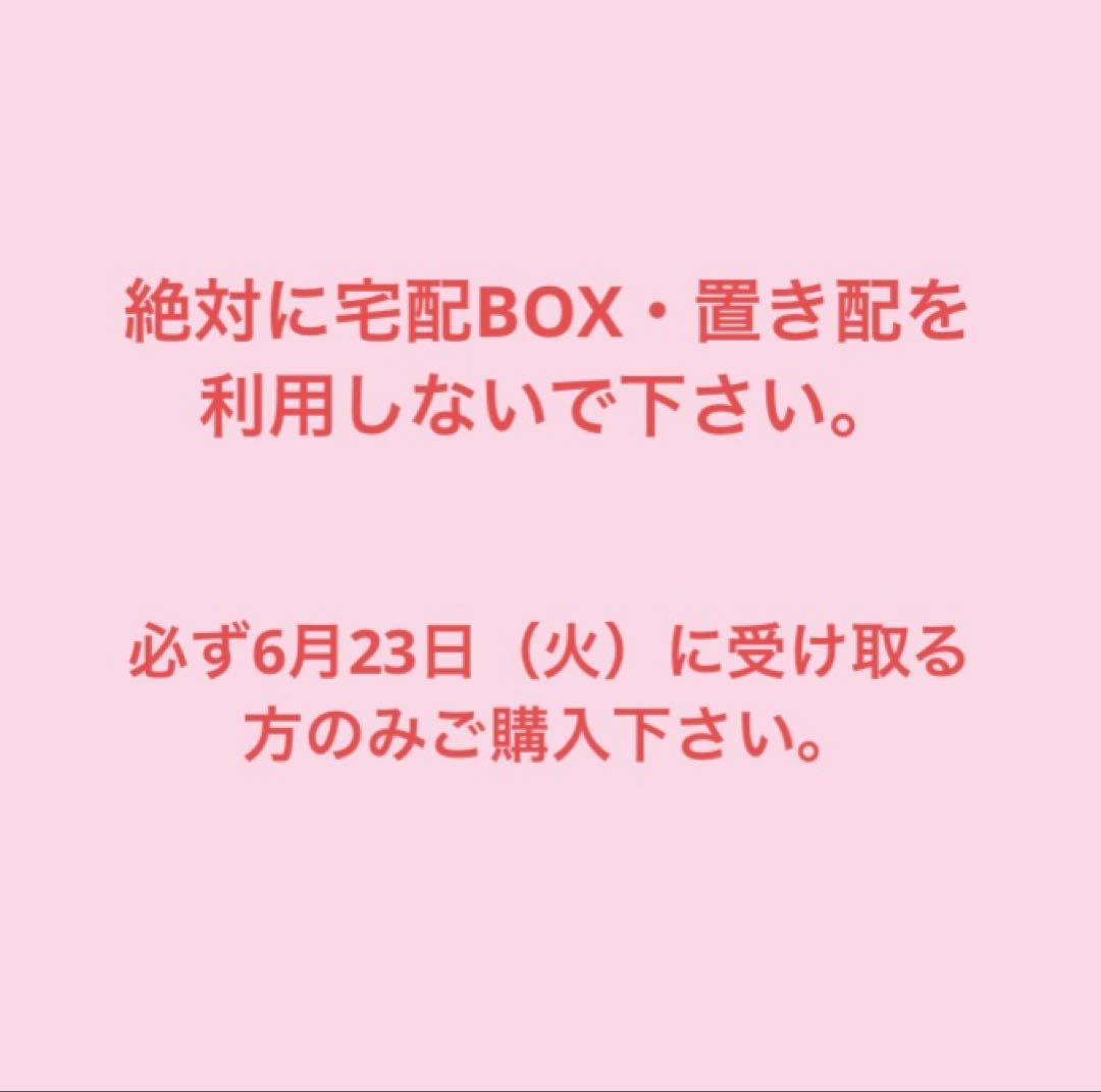 すもも メスレー 箱込み約2kg — image 2
