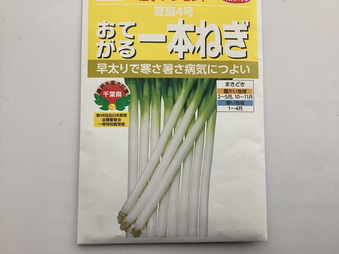 Hope⭐︎ 様専用　ネギ苗　１本ねぎ　５０本　太めの苗です。 — image 5