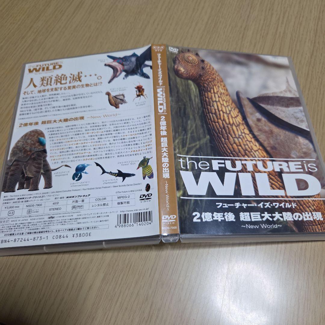 DVD　フューチャー・イズ・ワイルド 2億年後 超巨大大陸の出現　中古 — image 3