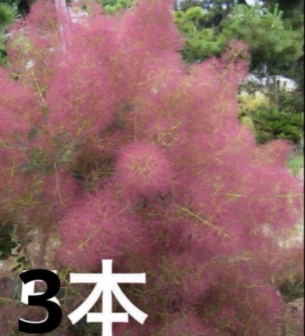 K☆ta✰♪様 リクエスト 2点 まとめ商品 — image 2