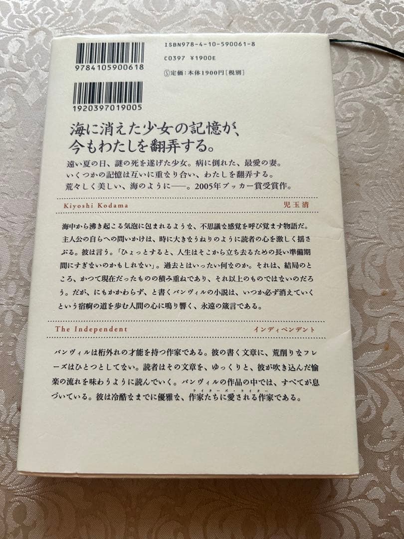 海に帰る日　ジョン・バンヴィル — image 2