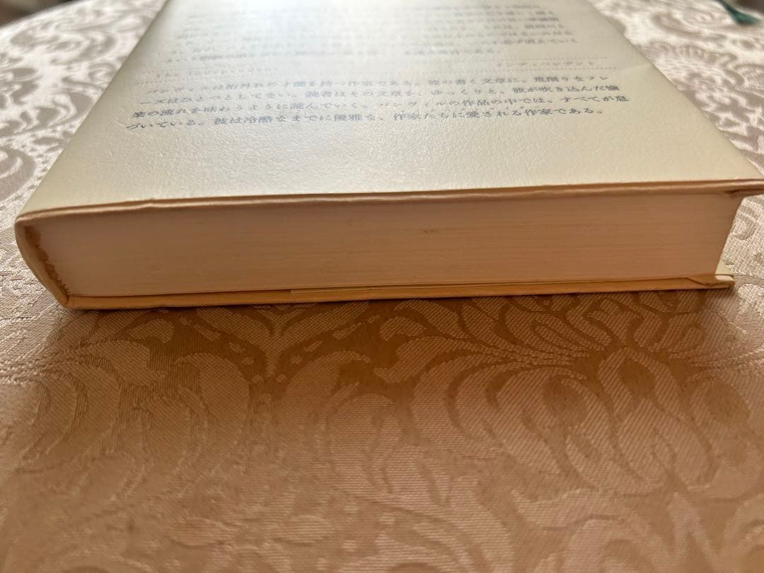 海に帰る日　ジョン・バンヴィル — image 3